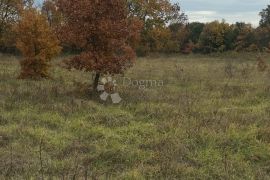 Atraktivno zemljište za agroturizam, Ližnjan, Terrain