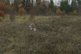 Atraktivno zemljište za agroturizam, Ližnjan, Terrain