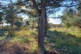 VODICE ZEMLJIŠTE TURISTIČKE NAMJENE - ZABAVNI CENTAR, Vodice, Γη