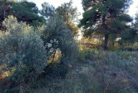 VODICE ZEMLJIŠTE TURISTIČKE NAMJENE - ZABAVNI CENTAR, Vodice, Land