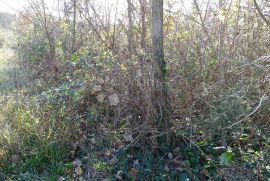 Buzet - teren s velikim potencijalom, Buzet, Land