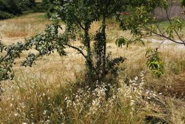 Vodnjan-građevinski teren u blizini centra!, Vodnjan, Terreno