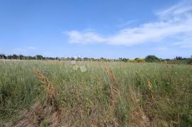 Marčana, građevinsko zemljište za stambenu gradju, Marčana, Terra