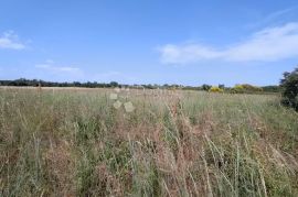 Marčana, građevinsko zemljište za stambenu gradju, Marčana, Terrain