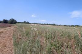 Marčana, građevinsko zemljište za stambenu gradju, Marčana, Земля