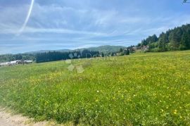 SUNGER ZEMLJIŠTE RAVNO 5272 m², Mrkopalj, Land