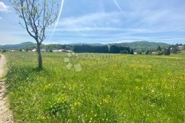 SUNGER ZEMLJIŠTE RAVNO 5272 m², Mrkopalj, Land