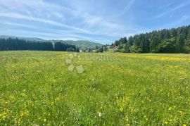 SUNGER ZEMLJIŠTE RAVNO 5272 m², Mrkopalj, Land