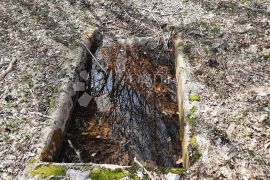 Zanimljivo zemljište na rubu urbanizacije, Barban, Terreno