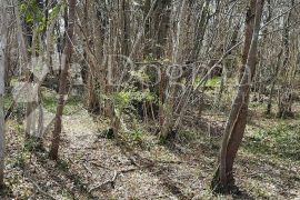 Zanimljivo zemljište na rubu urbanizacije, Barban, Land