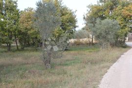 Mirna lokacija - okolica barbarige, Vodnjan, Arazi