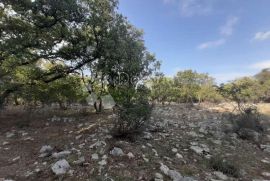 Okolica Vrbnika, prodaja 8000 m² poljoprivrednog zemljišta s ruševinom idealnog za glamping!, Vrbnik, Γη