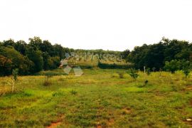 Prekrasan maslinik na prostranom poljoprivrednom zemljištu!, Rovinj, Land