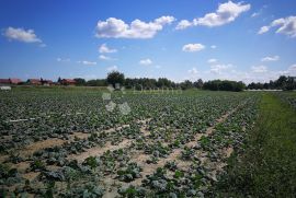 Zemljište 17151 m² Savica Šanci uz cestu sa svim priključcima, Peščenica - Žitnjak, Terrain