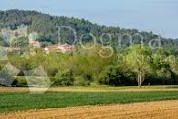 POLJOPRIVREDNO ZEMLJIŠTE CEROVLJE, Cerovlje, Land