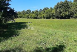 Poljoprivredno zemljište u okolici Barbana, Barban, Terreno