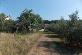 Pula-Busoler građevinsko zemljište, Pula, Terrain