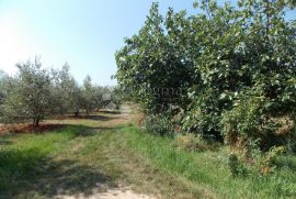 Pula-Busoler građevinsko zemljište, Pula, Land