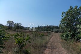 Pula-Busoler građevinsko zemljište, Pula, Land