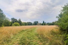 ISTRA, ŽMINJ - Kuća na osami na prostranoj okućnici, Žminj, Kuća