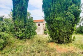 ISTRA, ŽMINJ - Kuća na osami na prostranoj okućnici, Žminj, House