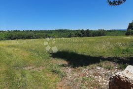 Poljoprivredno zemljište u okolici Barbana, Barban, Terreno