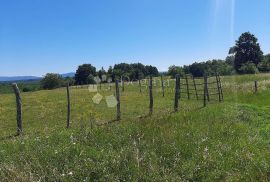 Poljoprivredno zemljište u okolici Barbana, Barban, Terrain