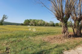 Iznimno plodno poljoprivredno zemljište, Kršan, Terreno