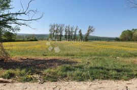 Iznimno plodno poljoprivredno zemljište, Kršan, Arazi
