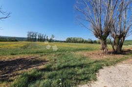 Iznimno plodno poljoprivredno zemljište, Kršan, Tierra