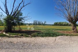 Iznimno plodno poljoprivredno zemljište, Kršan, Terreno