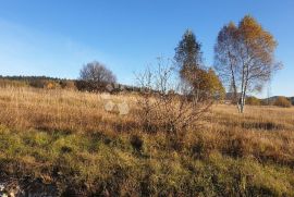 SAGRADITE KUĆU NA NAJLJEPŠOJ LIVADI, Delnice, Arazi