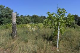 Poljoprivredni teren, Sveta Nedelja, Land