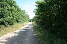 Svetvinčenat, poljoprivredna parcela na lijepoj lokaciji, Svetvinčenat, Terrain