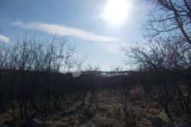 Zemljište nadomak Industrijske Zone Kukuljanovo, Bakar, Land