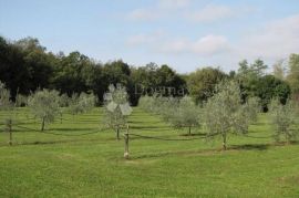 Istra, Labin - kuća - starina  ( Stancija ), Labin, بيت