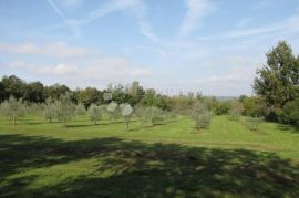 Istra, Labin - kuća - starina  ( Stancija ), Labin, Casa