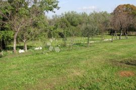 Istra, Labin - kuća - starina  ( Stancija ), Labin, Maison