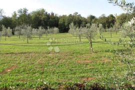 Istra, Labin - kuća - starina  ( Stancija ), Labin, Maison