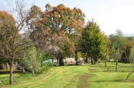 Istra, Labin - kuća - starina  ( Stancija ), Labin, Casa