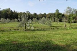 Istra, Labin - kuća - starina  ( Stancija ), Labin, Maison