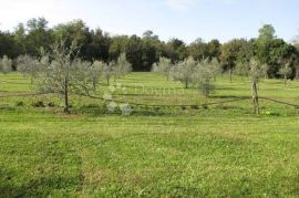 Istra, Labin - kuća - starina  ( Stancija ), Labin, Kuća