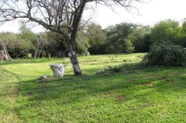 Istra, Labin - kuća - starina  ( Stancija ), Labin, Famiglia