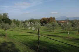 Istra, Labin - kuća - starina  ( Stancija ), Labin, Haus