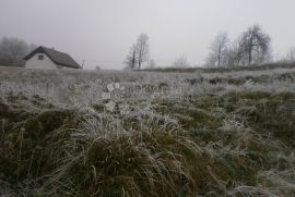 Građevinski teren sa zelenim pojasom, Vrbovsko, Terrain