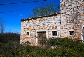 ISTRA, VIŽINADA Tražite istarsku stanciju? STOP!, Vižinada, Haus