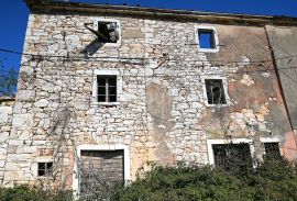 ISTRA, VIŽINADA Tražite istarsku stanciju? STOP!, Vižinada, Kuća