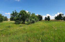 ISTRA,POREČ - Atraktivno zemljište na odličnoj lokaciji, Poreč, Terreno