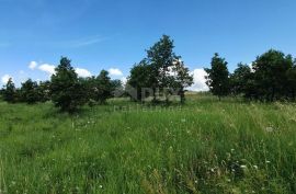 ISTRA,POREČ - Atraktivno zemljište na odličnoj lokaciji, Poreč, Land