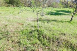 ISTRA, BALE - Prostrano zemljište sa maslinama, blizina mora i pogled na more, Bale, Arazi